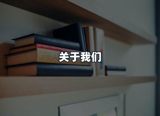 关于我们
